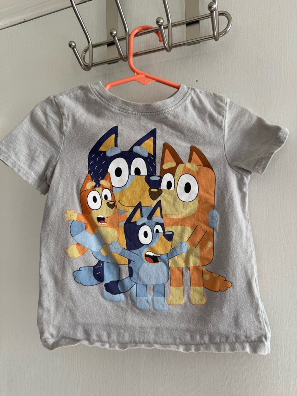 Children's Grey Bluey Cartoon Graphic Tee Size 3T